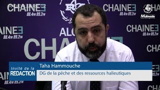 Taha Hammouche DG de la pêche et des ressources halieutiques [upl. by Hallett]