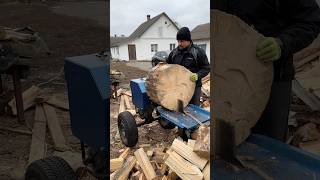 🔥 My electric wood splitting machine🌲🪵🌲🪵🌲 [upl. by Dorine362]