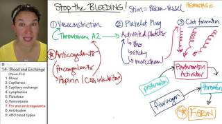 Blood 7 Pro and anticoagulants [upl. by Aiam]