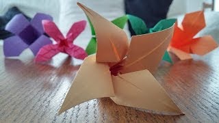 Tutoriel Origami Flower  quotRose des ventsquot [upl. by Largent]