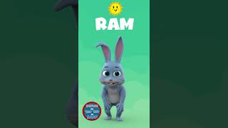 A Ram Sam Sam Dance with Tav Tav 🐰💃🕺 Fun Moves for Kids 😄✨ kidssong kidslearning aramsamsam [upl. by Yuh]