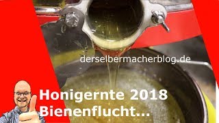 Imkerei Honigernte 2018 Bienenflucht Ableger [upl. by Deming950]