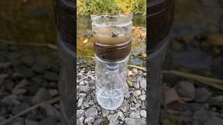 Survival skills amazing dirty water purification filter💦 camping survival bushcraft outdoors [upl. by Jakob17]