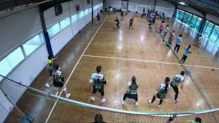 2024 R11 VDL1 Oakleigh Orcinus vs Glen Waverley Gorillas Dark [upl. by Dominique]