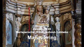 Marieviering zaterdag 16 november 2024 [upl. by Auoh]