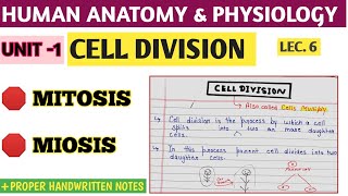 celldivision ।। Bpharma 1st semester ।। cell cycle।।miosismitosis s pharma [upl. by Goda]