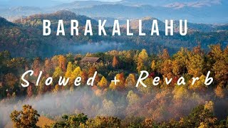 BarakAllahuMotivetionalNasheed Slowed  Revarb  HD mp4 [upl. by Aivalf]