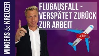 Flugausfall  Verspätet zurück zur Arbeit  FragMingers [upl. by Hanauq]