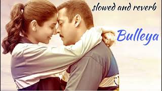 BulleyaFullSongwithLyricsPaponSalmanKhanAnushkaSharmaSultansong viral [upl. by Coffey]