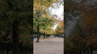 Autumn in the Hofgarten Munich  هوفگارتن مونیخ که در چهار قرن پیش باغ اختصاصی دربار بوده ✨ [upl. by Ralyat]