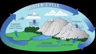 Earths Water Cycle [upl. by Aiuhsoj98]