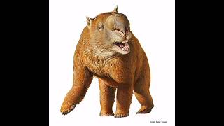 Diprotodongiant wombats reconstruction sounds [upl. by Aihseyt]