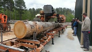 His First Woodmizer LT70 Sawmill HE ABOUT CRASHED ITAnd then mills a 26 long Cypress log [upl. by Leahcimsemaj538]