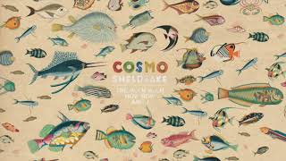 Cosmo Sheldrake  Hocking Instrumental [upl. by Aztiram727]