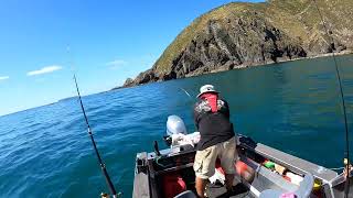 Fishing for Snapper at Boom Rock  Wellington in the Frewza F14 Fisher [upl. by Gamali683]