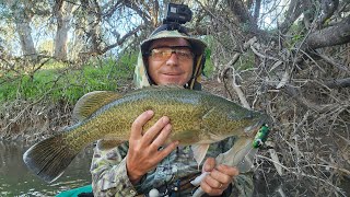 Lure Casting For Murray Cod From Kayaks In The Ovens River With Adam And Willis [upl. by Lindie834]