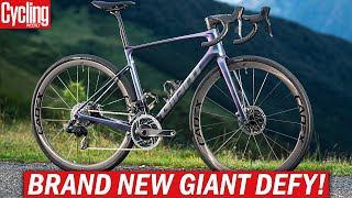 NEW 2024 Giant Defy  One Of The Last True Endurance Road Bikes [upl. by Nevin]