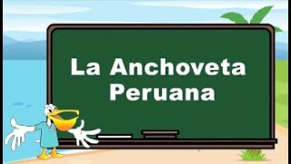 LA ANCHOVETA PERUANA [upl. by Litnahc772]