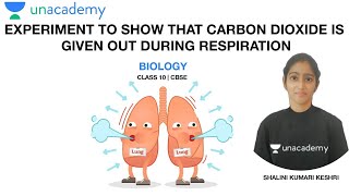 Experiment to Show CO2 is Released During Respiration  Biology  Class 10  CBSE Shalini Maam [upl. by Burl]