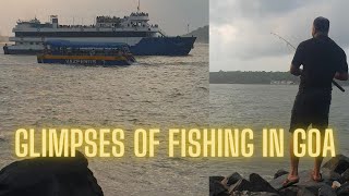 Fishing on the banks River Mandovi Panaji Goa Lady Fish [upl. by Salli280]