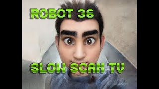 0109 Toonify SSTV Robot36 [upl. by Aiel605]