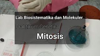 Tutorial Prosedur pembuatan preparat mitosis akar bawang [upl. by Tyler]