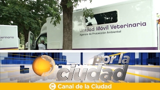 Presentaron cuatro nuevas veterinarias móviles para mascotas  Por la ciudad [upl. by Brunell931]