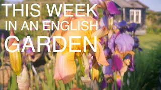 This Week in an English Country Garden [upl. by Yecats236]