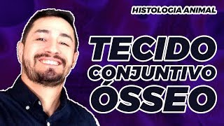 HISTOLOGIA ANIMAL  TECIDO CONJUNTIVO ÓSSEO [upl. by Anawak]