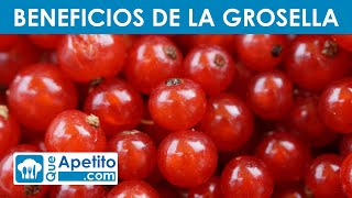 8 Propiedades y Beneficios de la GROSELLA ​🍒✅  QueApetito [upl. by Aisha900]