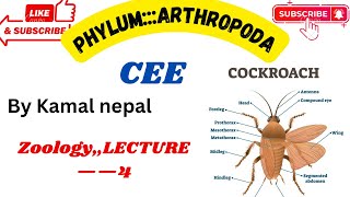 Phylum Arthropodalexture4Cee best lecture with notes and information [upl. by Lorinda]