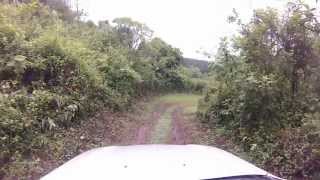 Mazda BT50 pro  Test Drive [upl. by Ssirk]