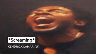 1 Hour Of Silence Occasionally Broken By Kendrick Screaming [upl. by Portland]