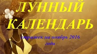 Лунный календарь стрижек на ноябрь 2016 года [upl. by Misty]