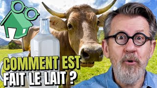 🐮Comment la vache faitelle du lait  🥛 [upl. by Sucramal942]