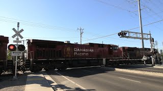 RARE CP 9714 Leads BNSF Grain Train North Meadowview Rd Railroad Crossing Sacramento CA [upl. by Hinch]