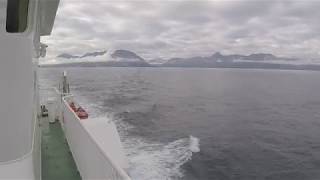 Eyjafjörður Aboard Sæfari Grímsey  Dalvík Ferry [upl. by Nyleahcim]