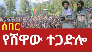 Ethiopia ታላቁ የሸዋ ተጋድሎ [upl. by Yesnikcm]