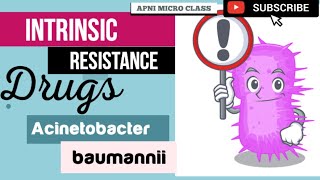 Intrinsic resistant Antibiotics  Acinetobacter baumannii  A baumannii Treatment [upl. by Akinom]