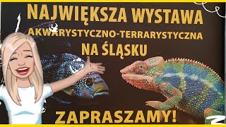 WYSTAWA ZWIERZĄT EGZOTYCZNYCH 🦎 AKWARYSTYCZNA TERRARYSTYCZNA GLIWICE 🦎EUROPA CENTRALNA SilesiaExpo [upl. by Eiderf]