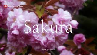 무료 아련하고 슬픈 BGM  사쿠라   Free Background Music  Sakura [upl. by Joey]