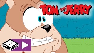 Tom amp Jerry  Lets Play Ball  Boomerang UK [upl. by Arvid]