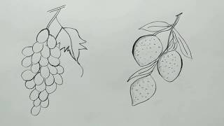 how to draw grapes drawing  drawing for beginners 3 [upl. by Okia221]