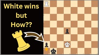 Brilliant Chess Puzzle with Zugzwang PLAN [upl. by Leopoldeen]