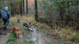 wheelchair for dogs hunderollwagen [upl. by Mccowyn601]