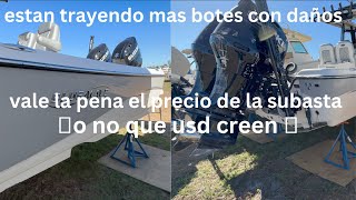 BOTES NUEVOS EN LA SUBASTA [upl. by Enihpets]