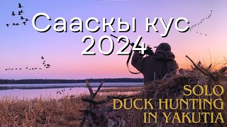 Сааскы кус 2024 Умсаах ытыы  Охота на уток в Якутии 2024  Yakutia Waterfall hunting with decoys [upl. by Philoo]