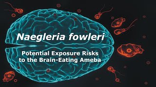 Naegleria fowleri and Potential Exposure Risks to the Brain Eating Ameba [upl. by Yenitirb]