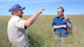 Optimising soils and available water to improve drought resilience  Harden farmer Duncan Stewart [upl. by Verine]