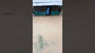 Flood in Arunachal Pradesh [upl. by Alakcim]